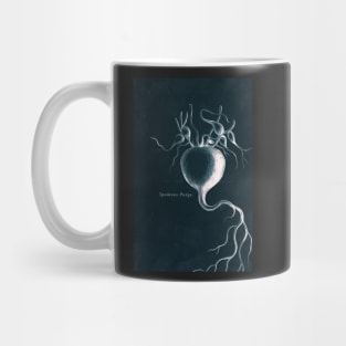 Cyanotype - Ipomoea Purga - C Mug